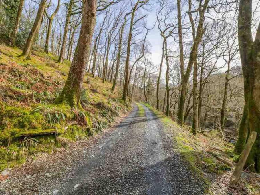 Pandy Farmhouse - Panoramic Mountain Views Within Snowdonia'S National Park - 4X4 Recommended Долгеллау Экстерьер фото
