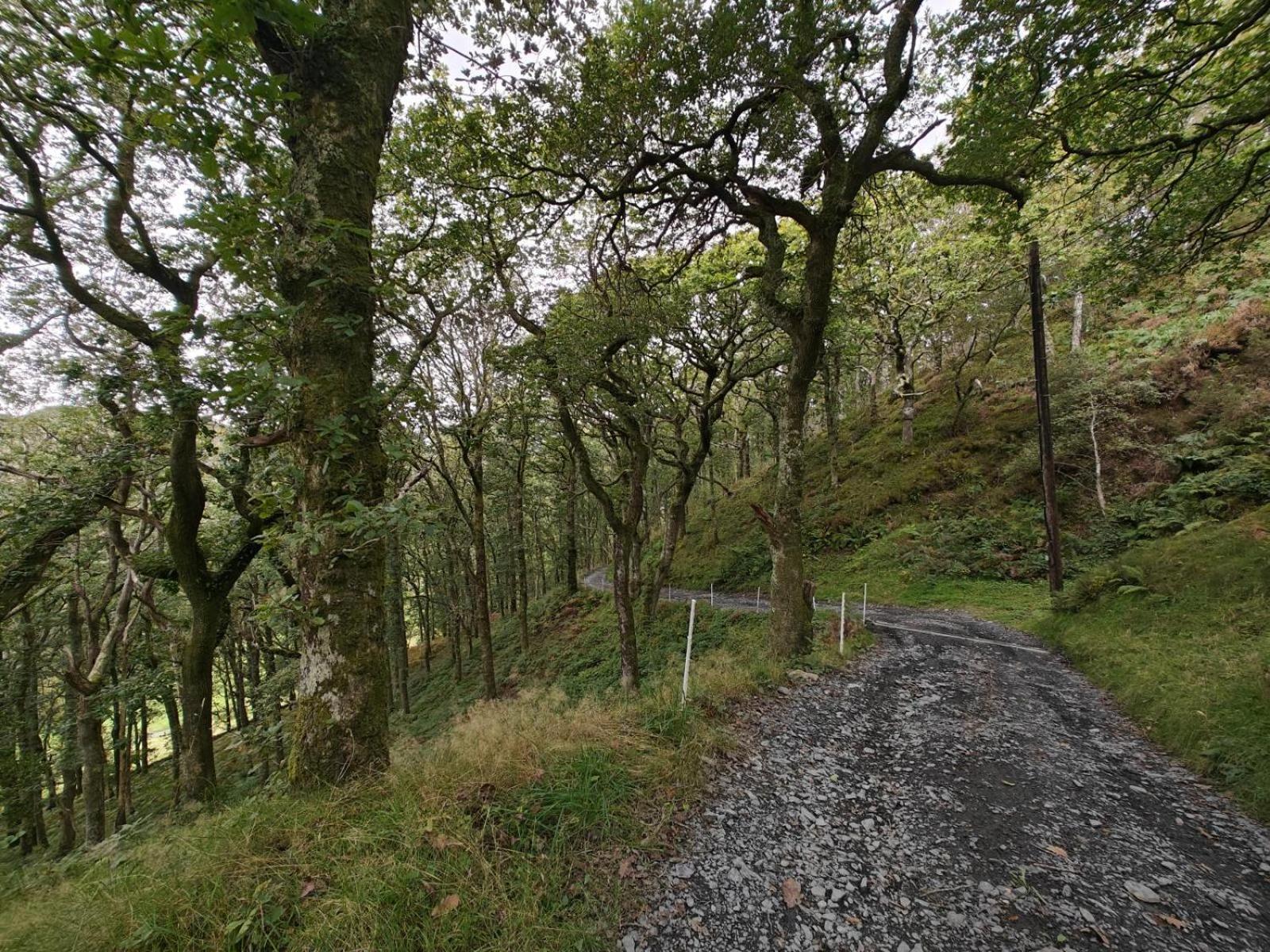 Pandy Farmhouse - Panoramic Mountain Views Within Snowdonia'S National Park - 4X4 Recommended Долгеллау Экстерьер фото